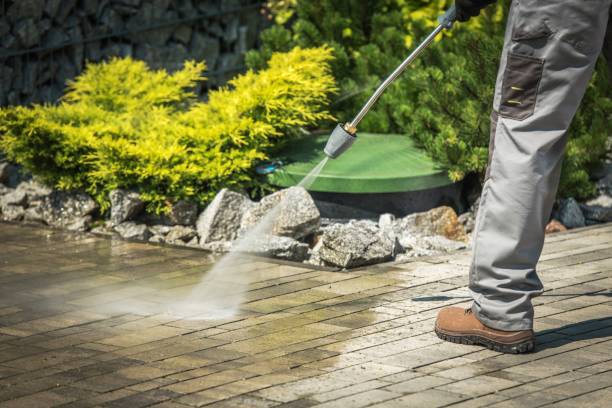 Best Factory Floor Cleaning  in Shiprock, NM